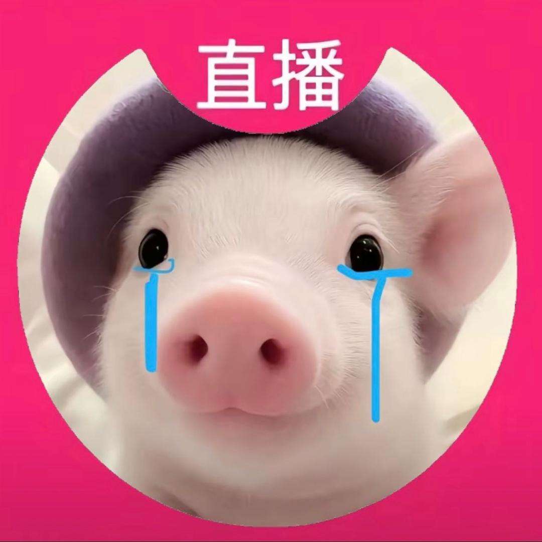 QQ宠物