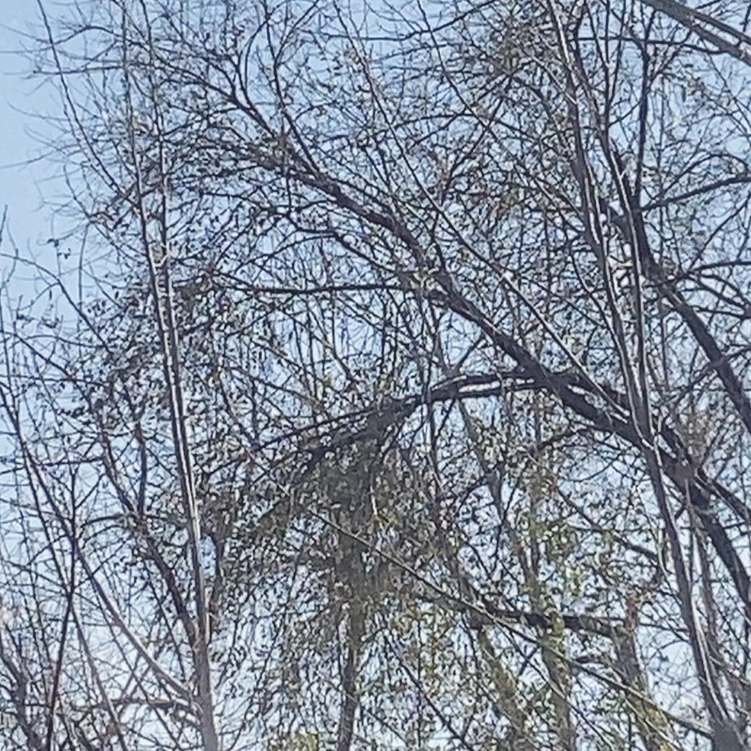 用户123123