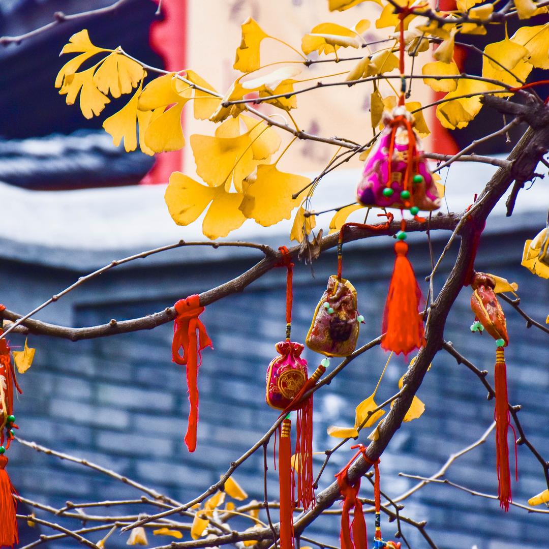 文昌玄贰(需解惑可发私信)