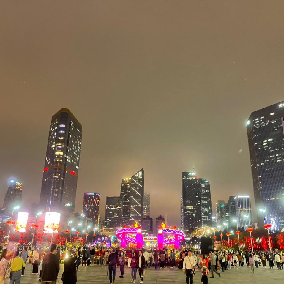 刘政君