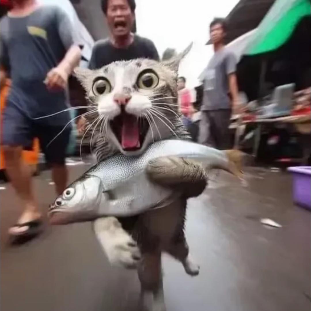 垚垚领先
