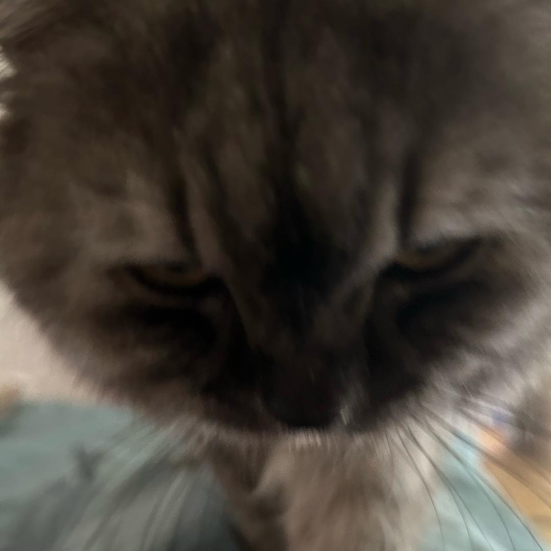 欧文
