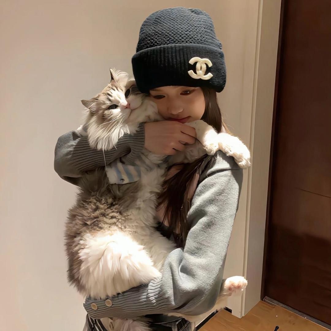 魚ㅤㅤㅤ