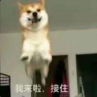 随性