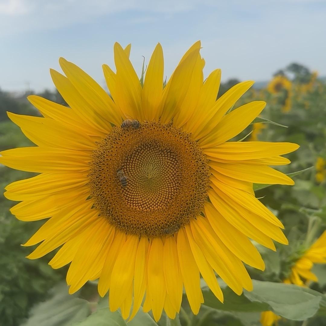 我爱我家☀️