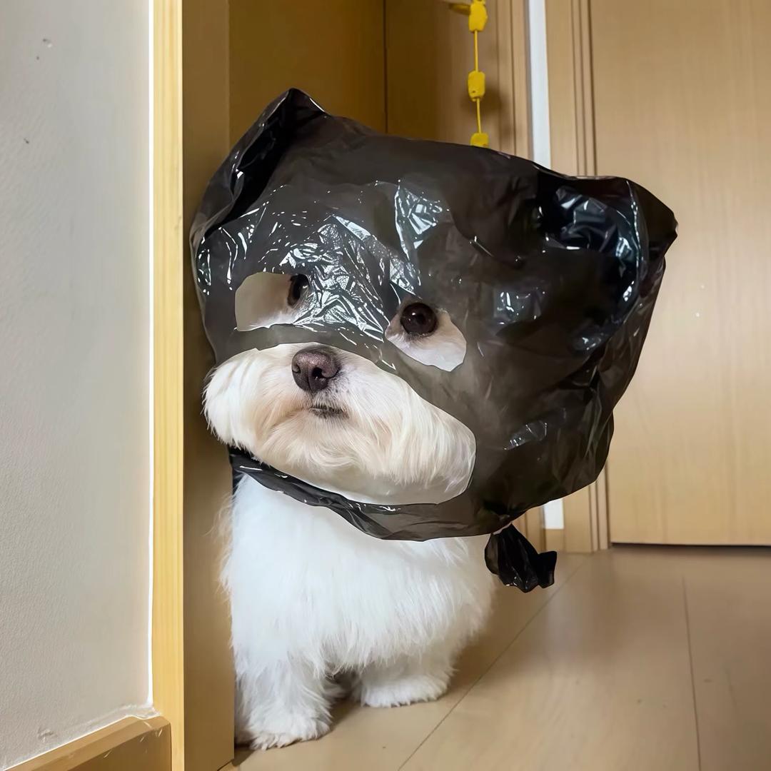 纳尼.