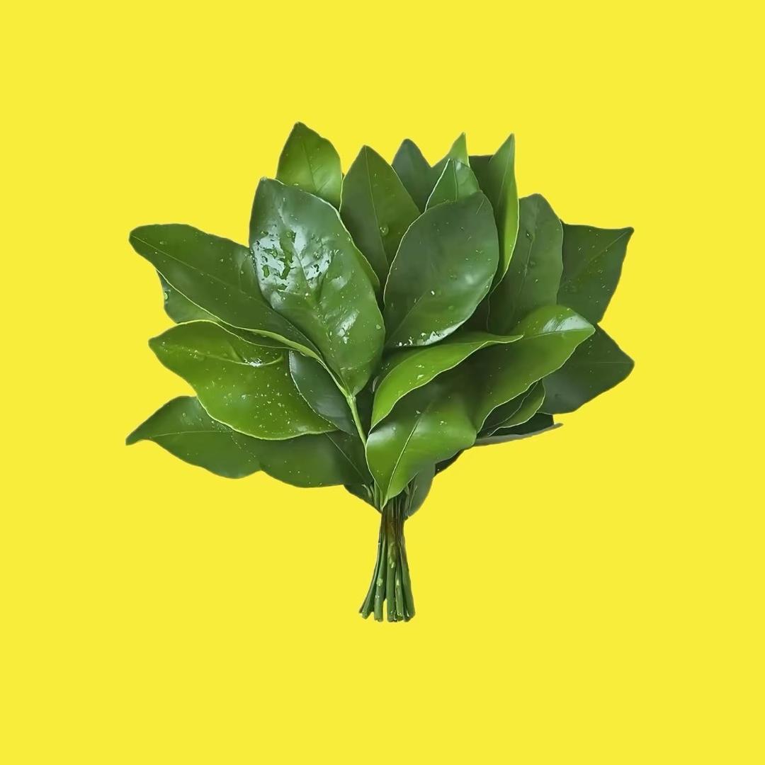 牛油果🥑