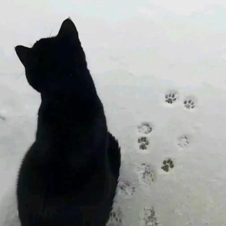 爱吃脚皮的男人☃️