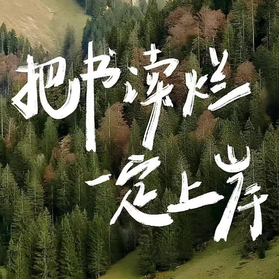 公考废材