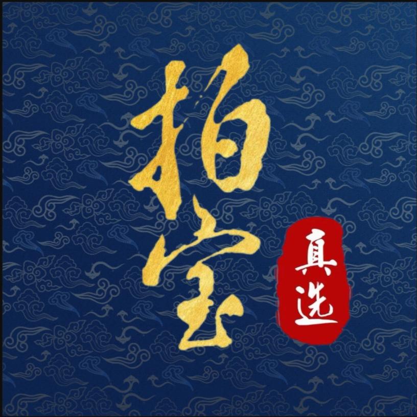 拍宝真选