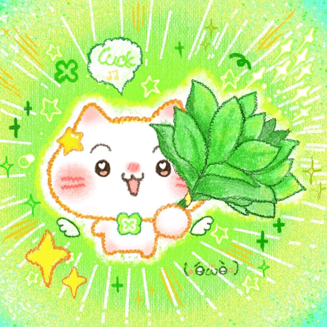 一豆豆