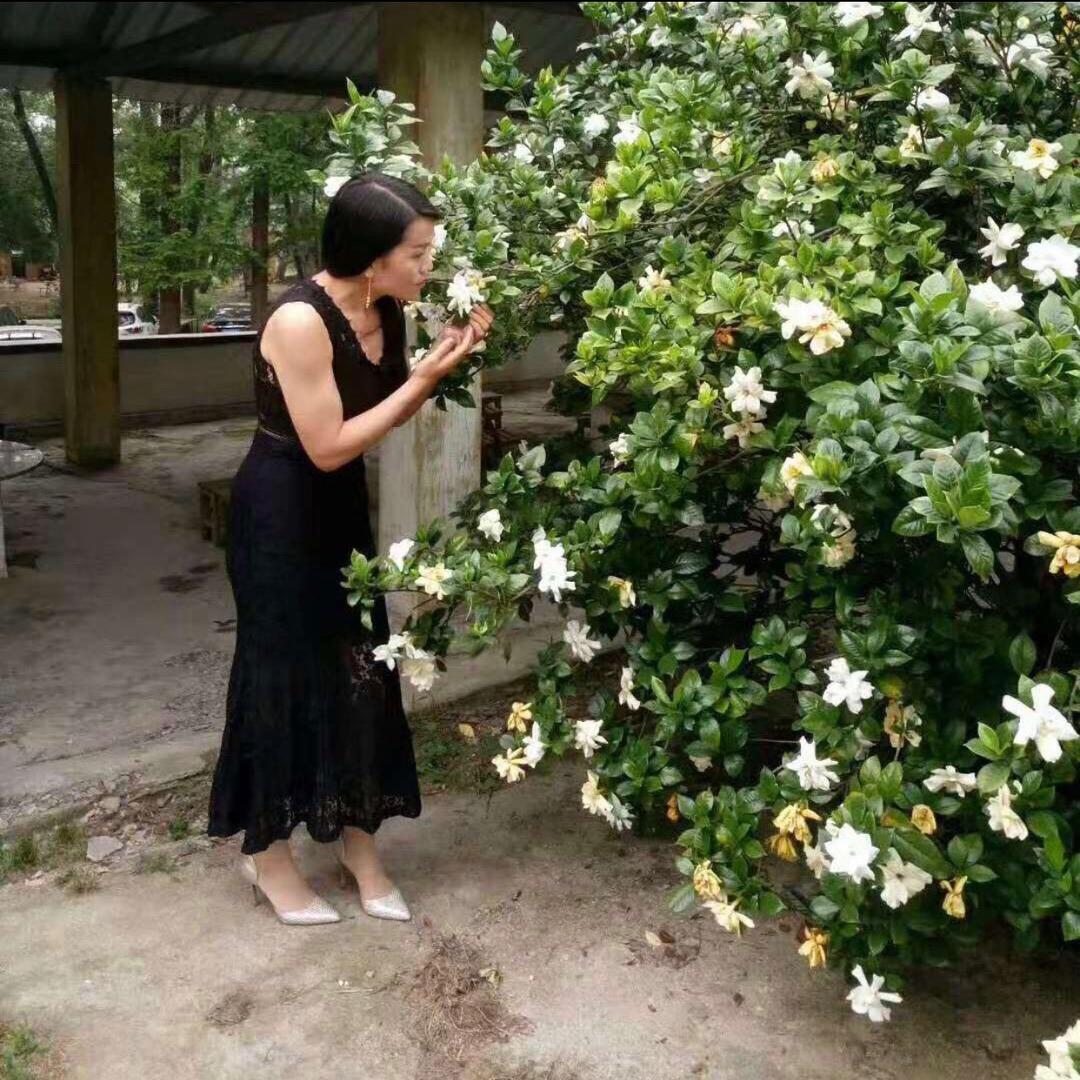 Mlss李小姐