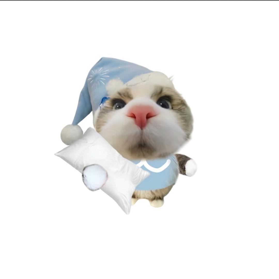 東來💤
