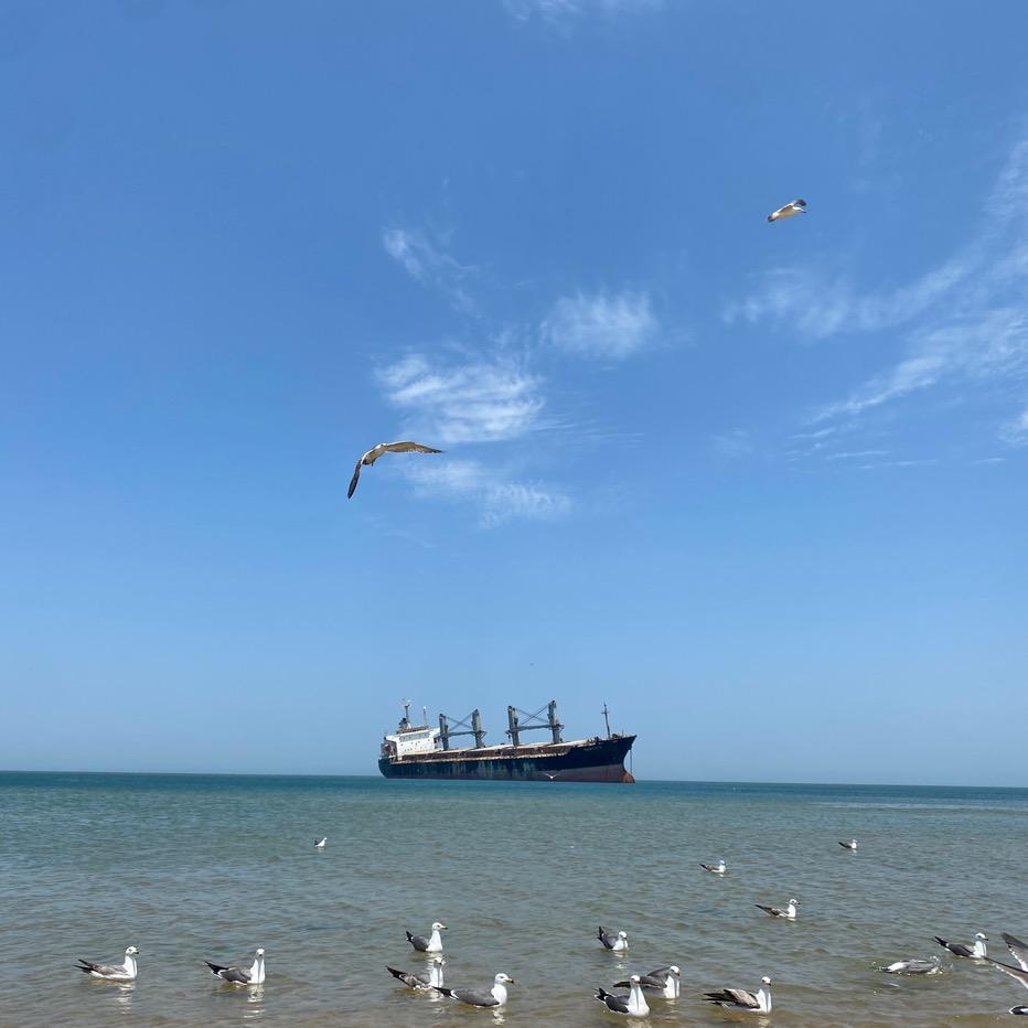 来自火星的吃货