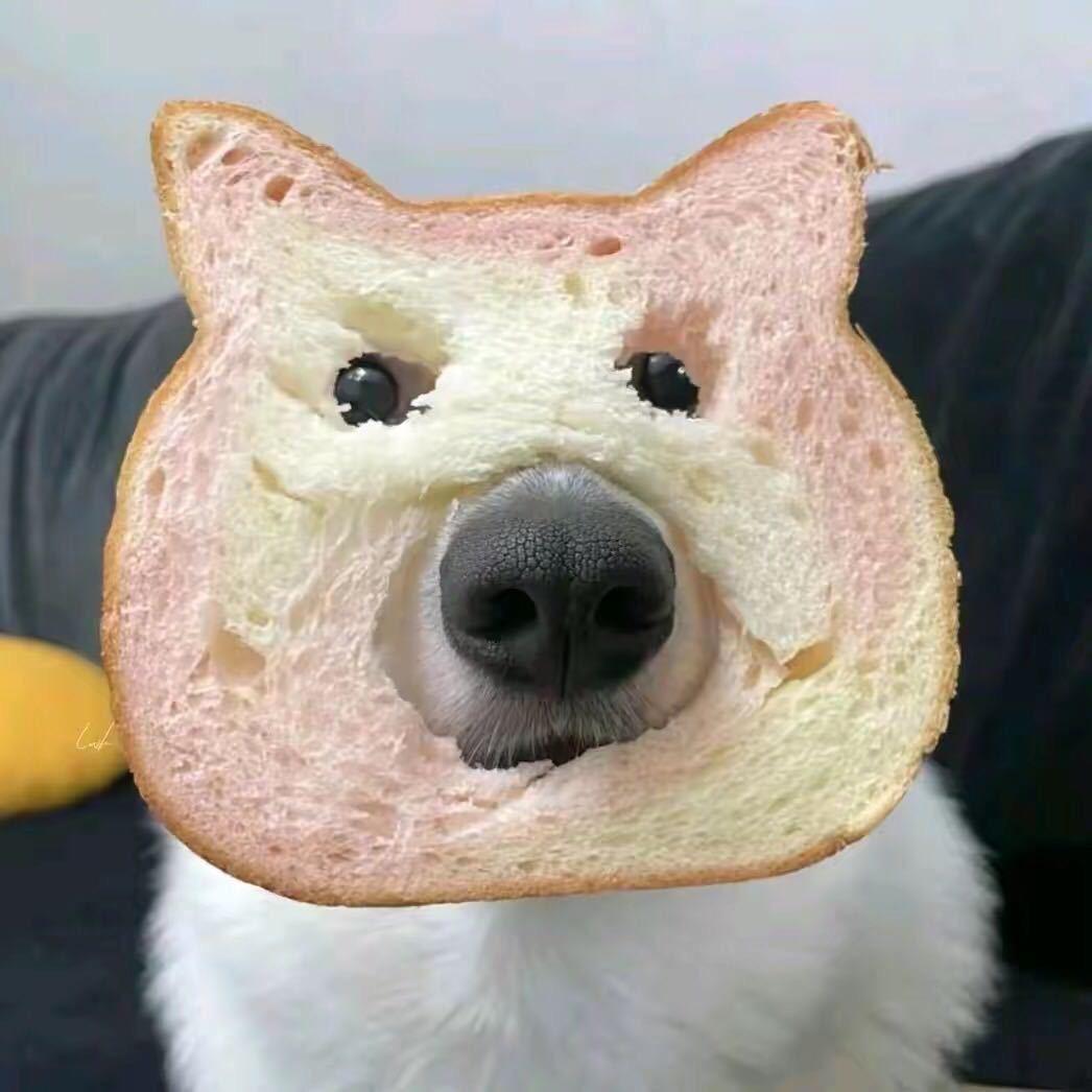 单防
