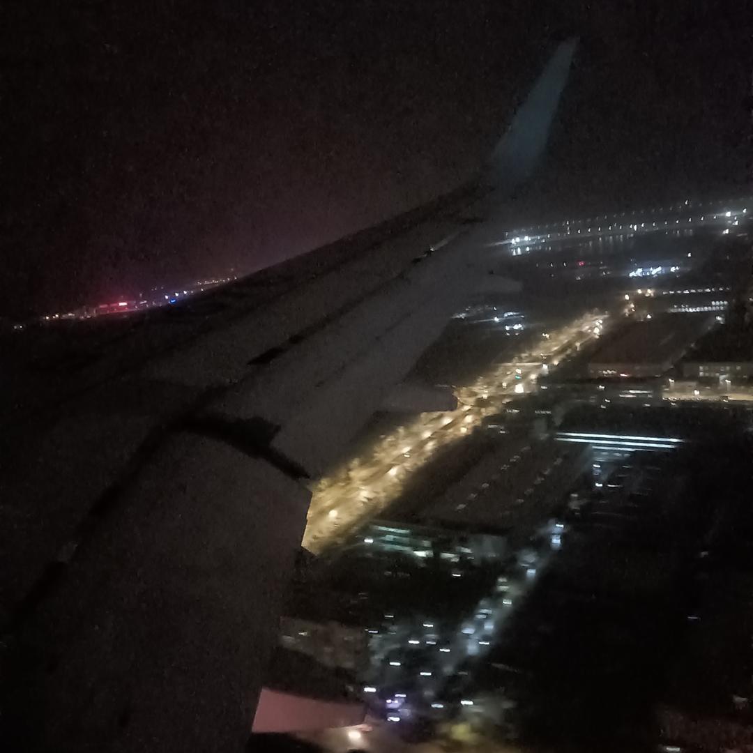 龙先生( ✘_✘ )↯