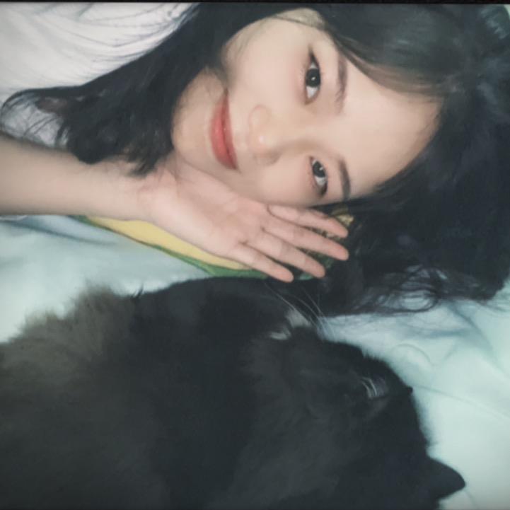 财运小喵🐱