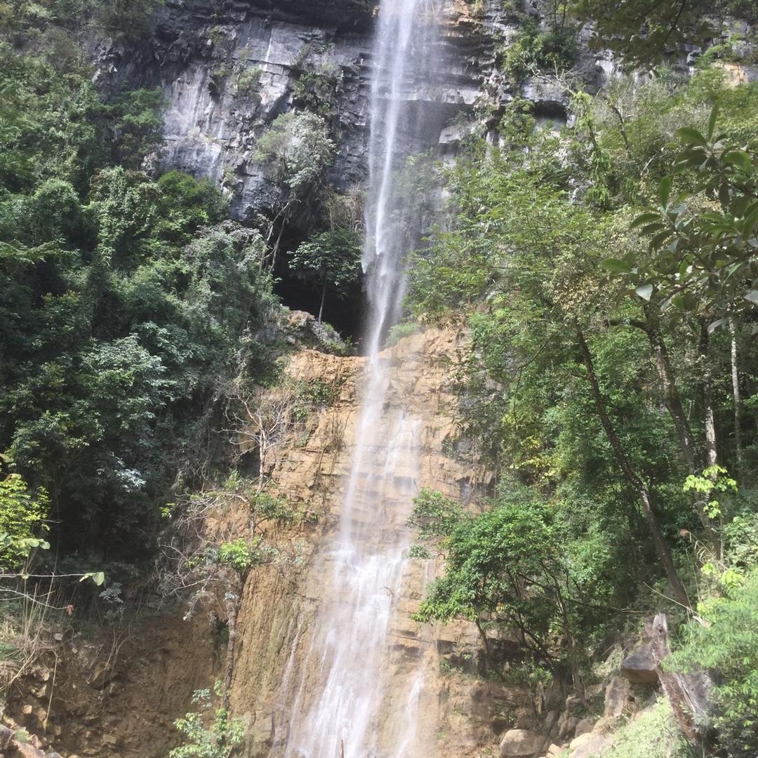 发源地南湖悦活里玛店经理张玉