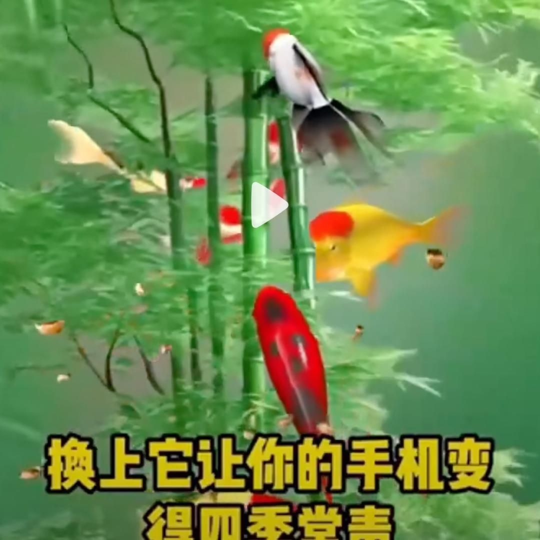 淑雅奶奶