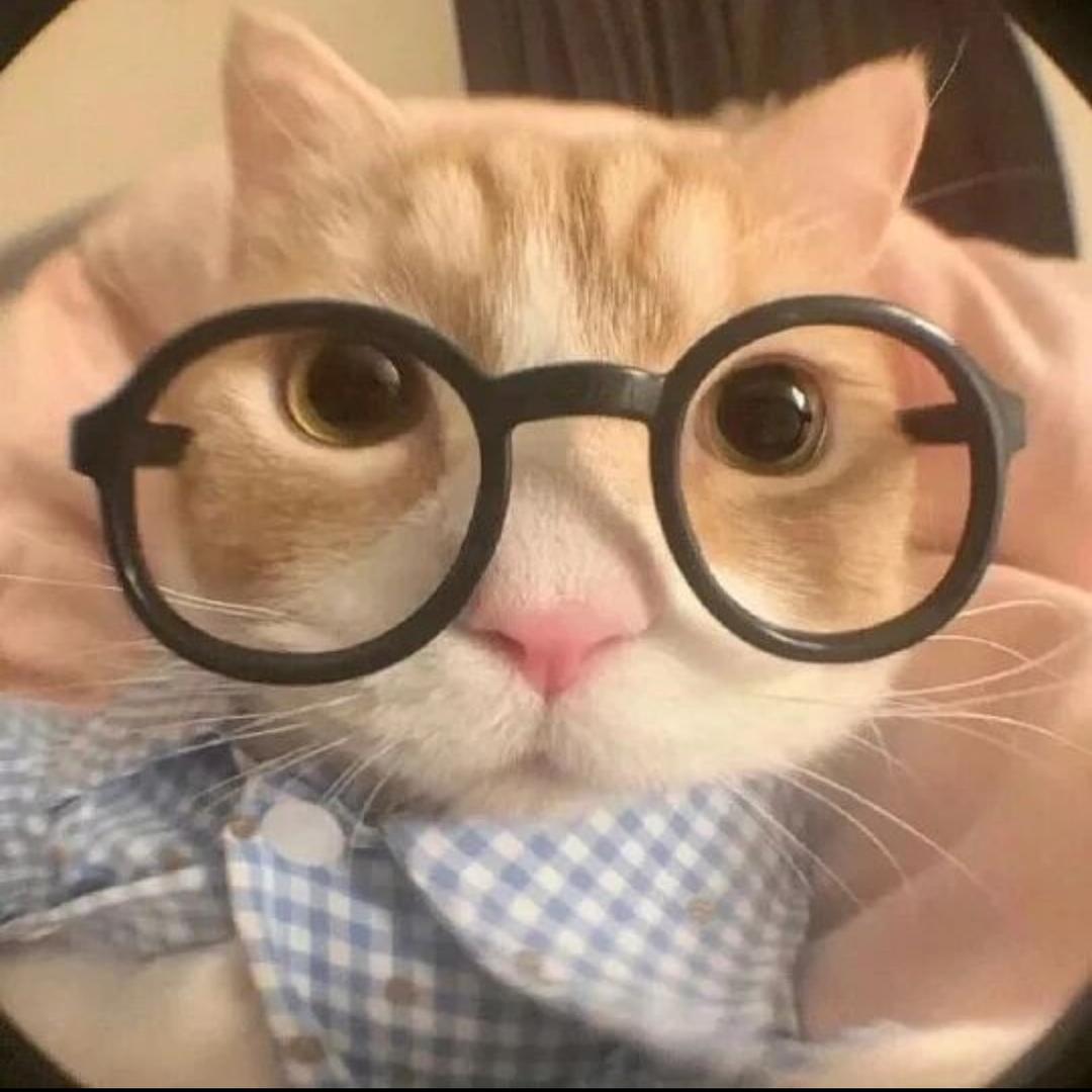 不吃狗肉