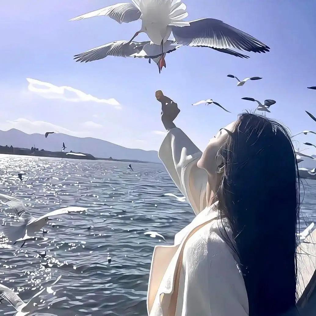 南栀🥀(金铲铲之战)
