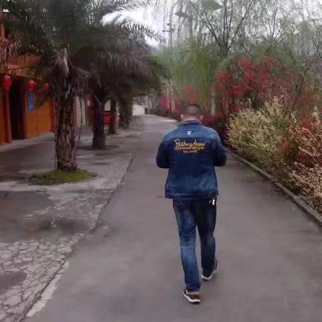 听风是雨