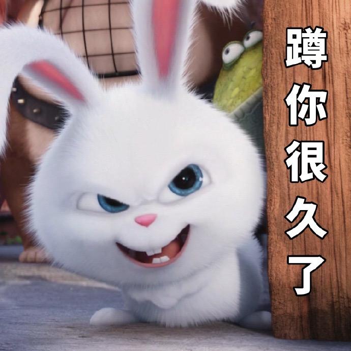 兔子急了