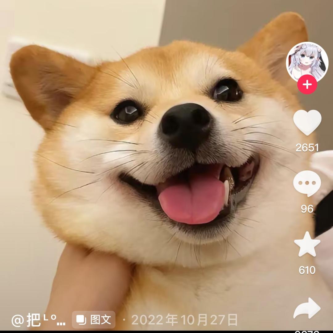 云淡风轻61771714586