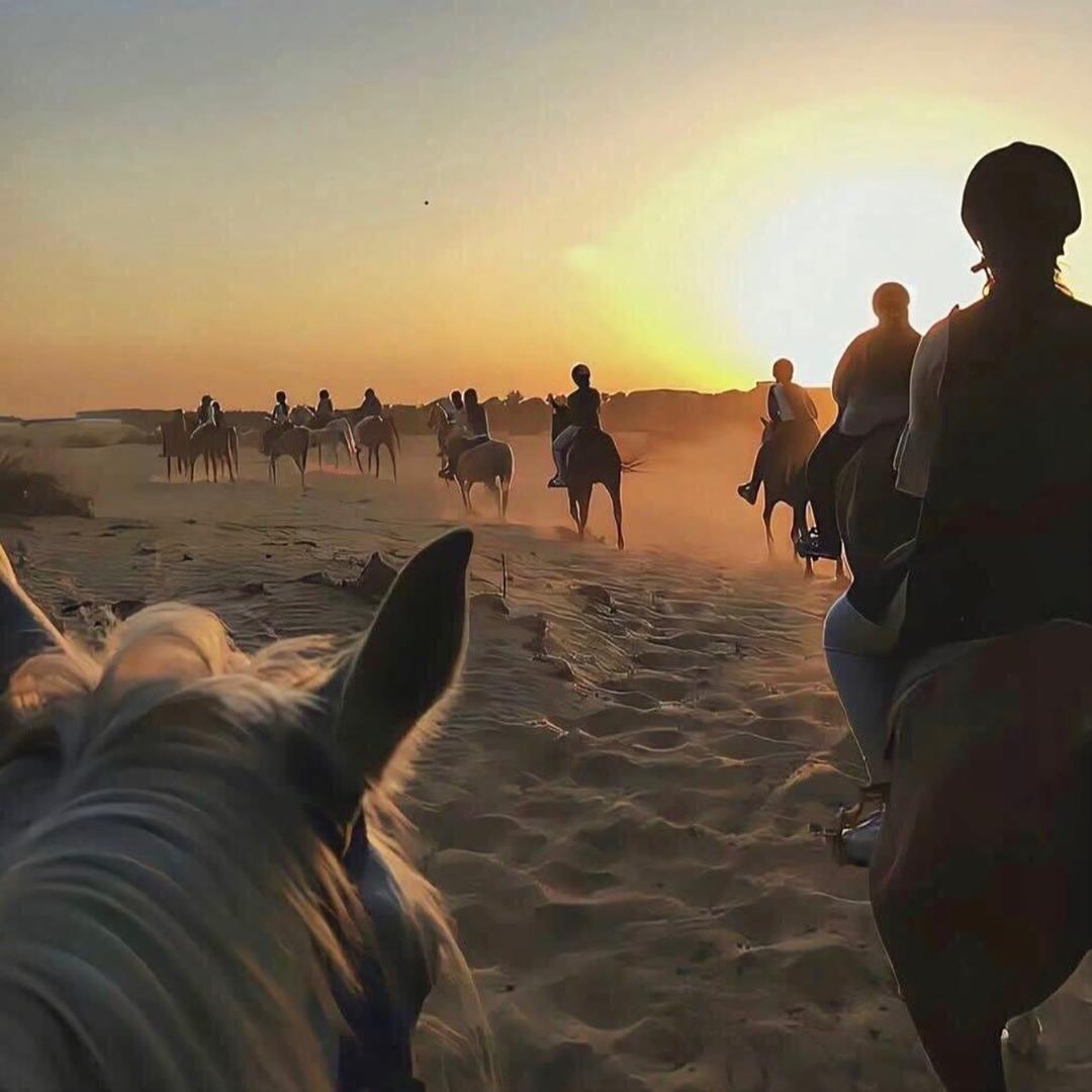 你猜猜我是谁？