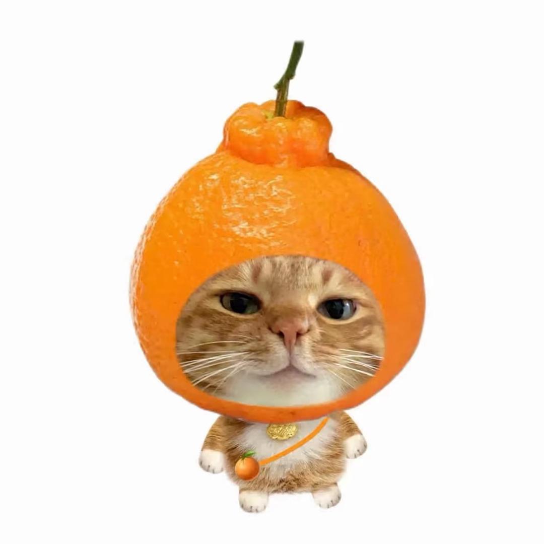 13.