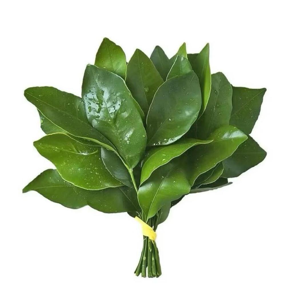 Lcberg