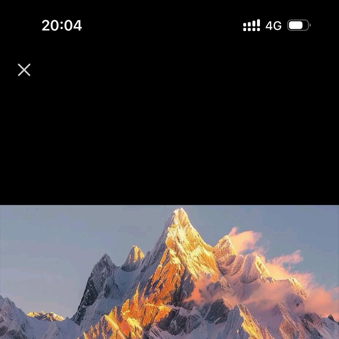 越南老八来了