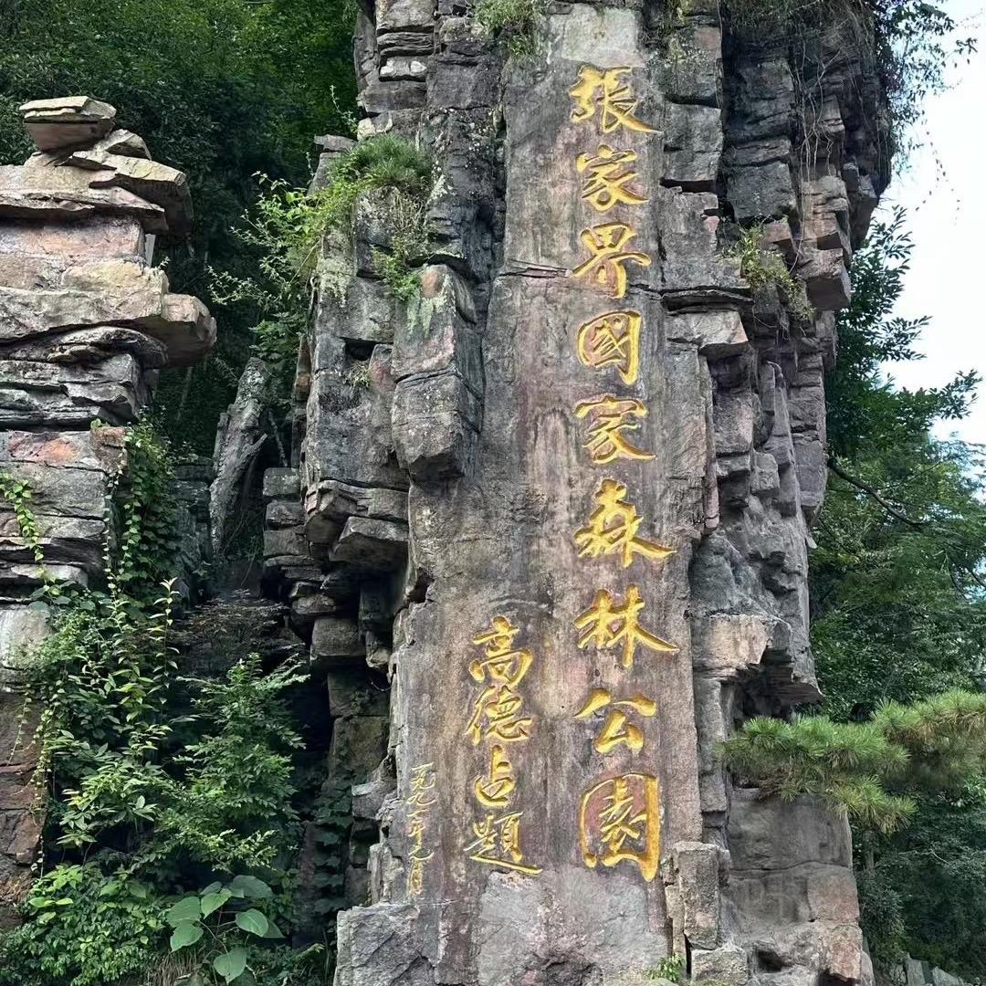 一匹狼