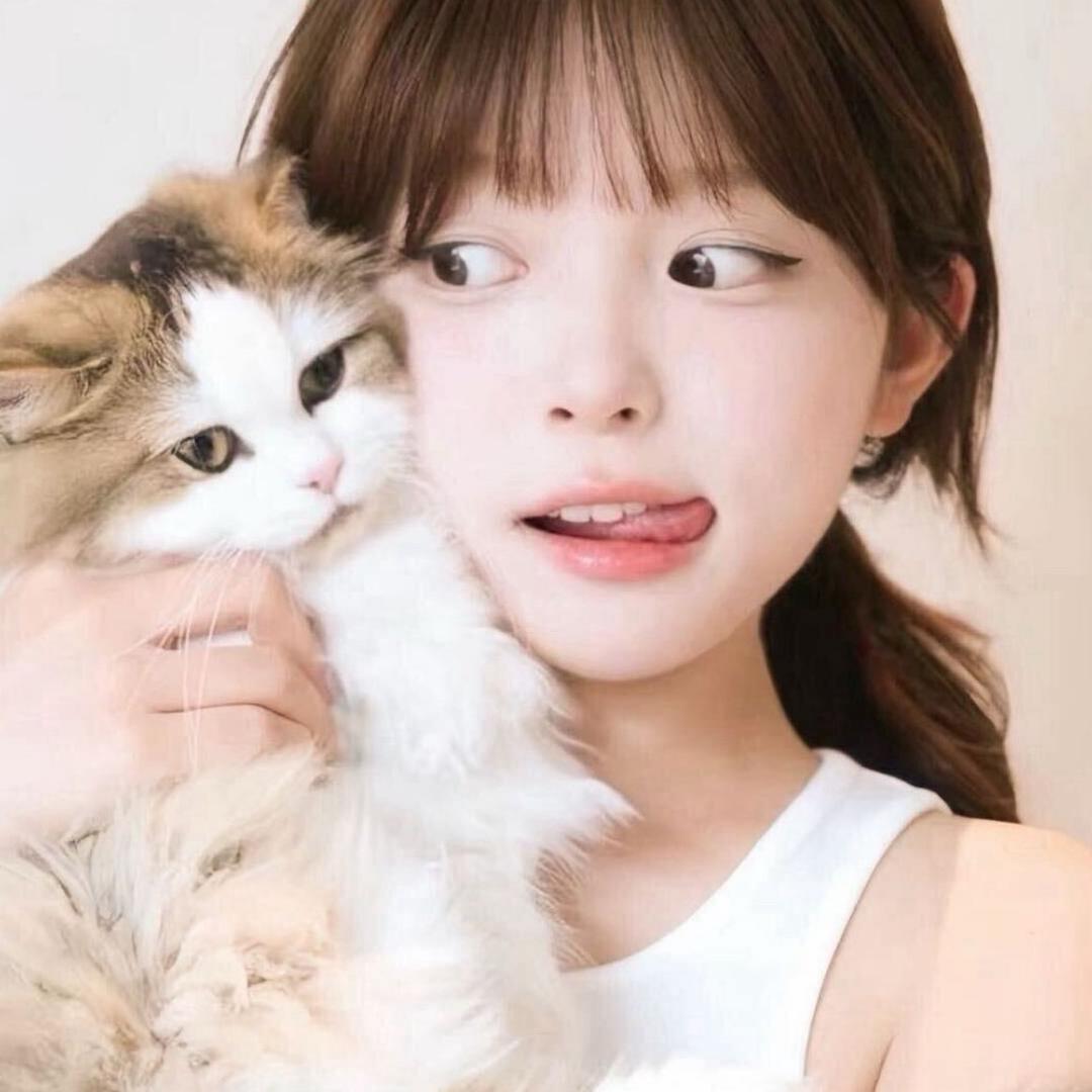 德拉爱吃小鱼干🐈