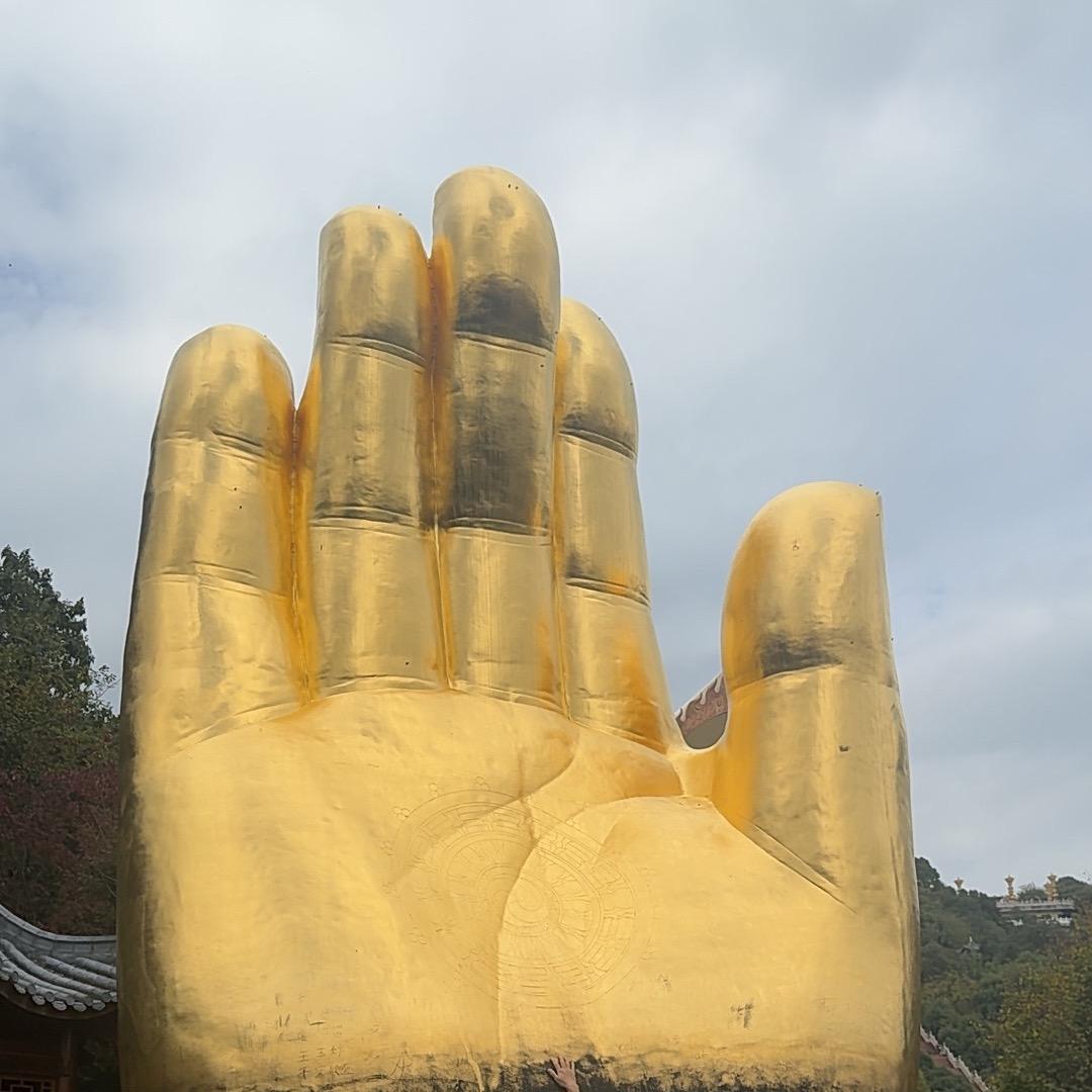悟通