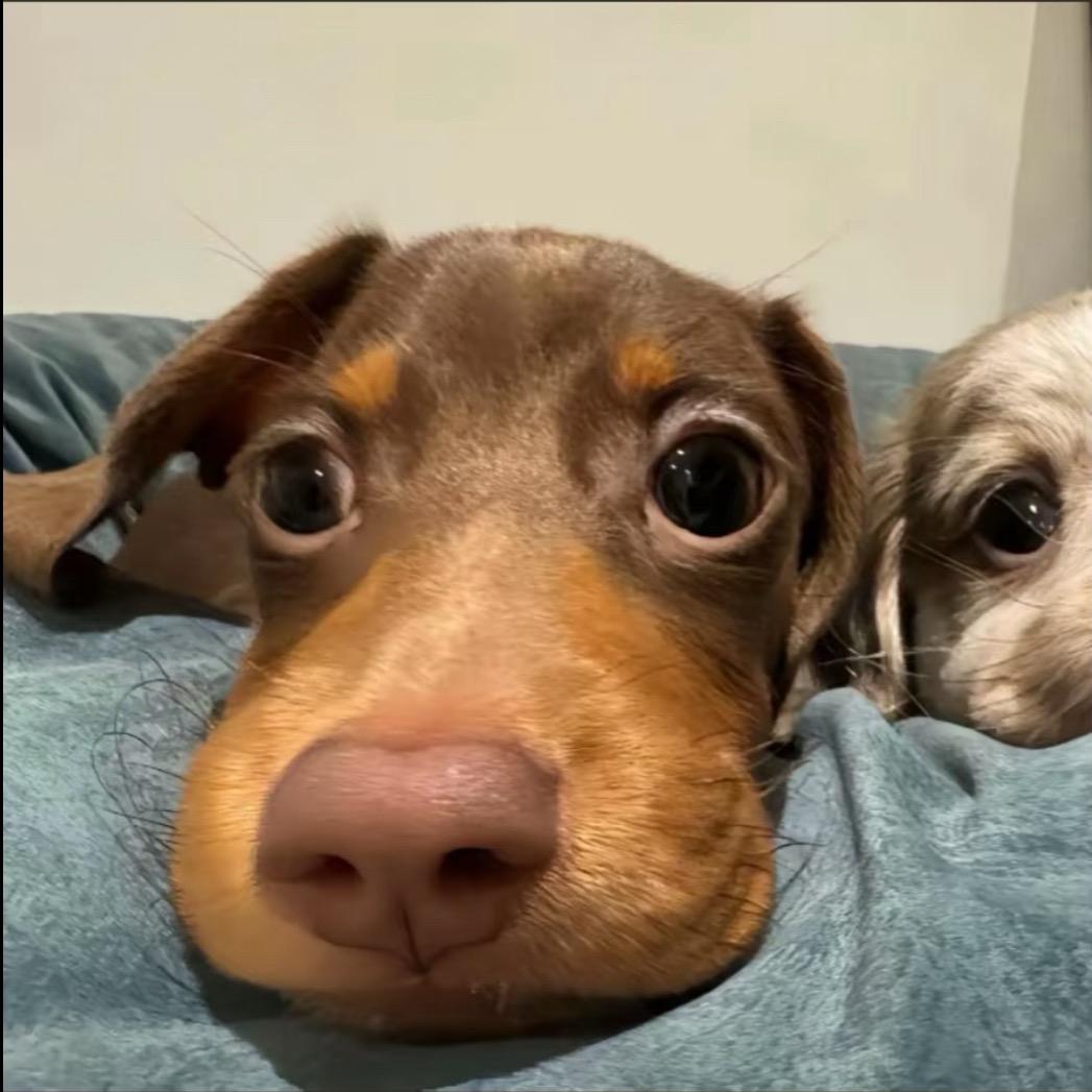 🌈炫炫炫炫炫炫