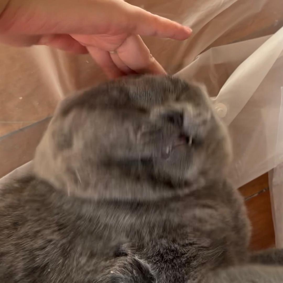 稳稳