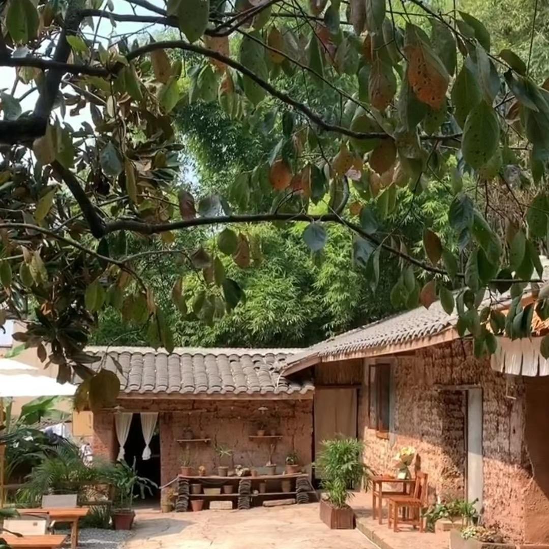 春风里