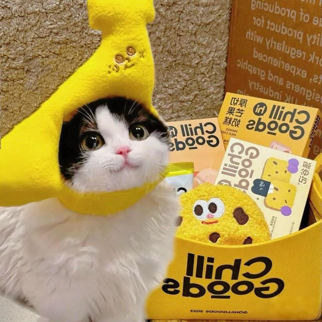 骑着蜗牛追导弹