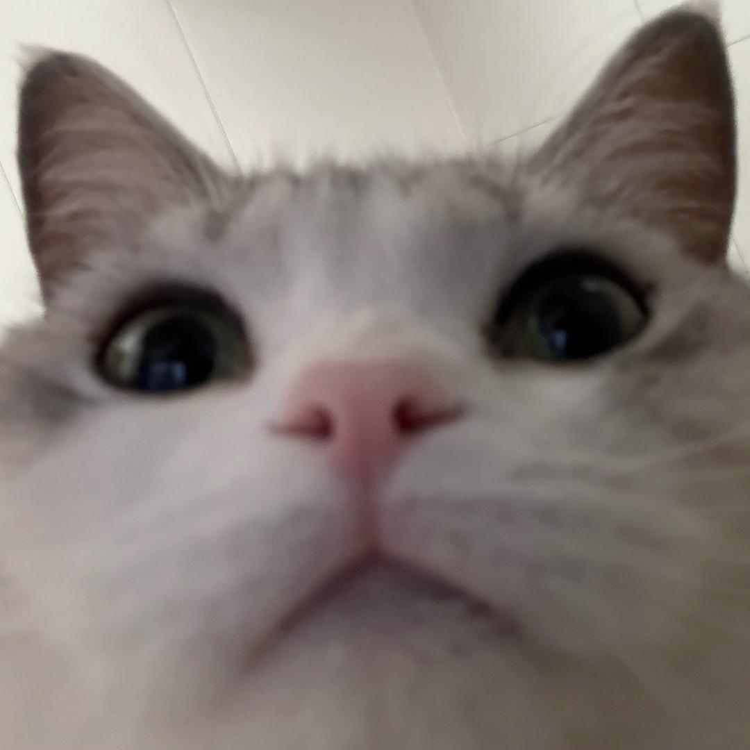 我这辈子还能早睡吗