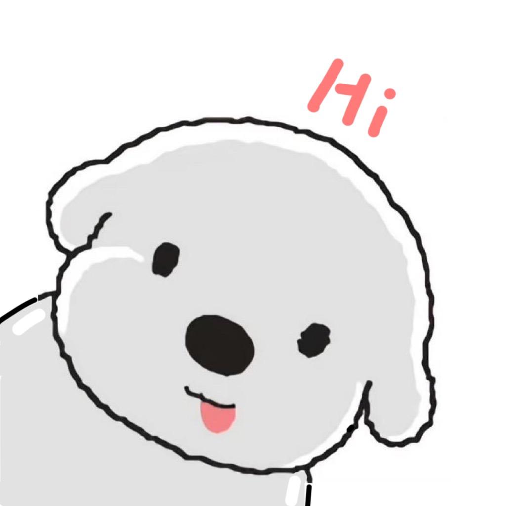 95748636116