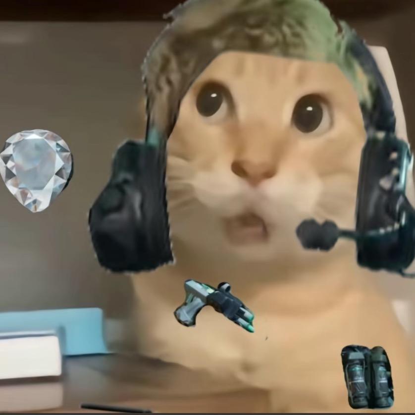 小h代肝 （三角洲行动）