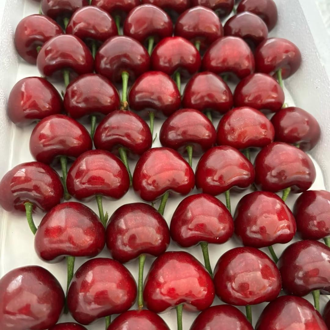 🍒樱有尽有🍒