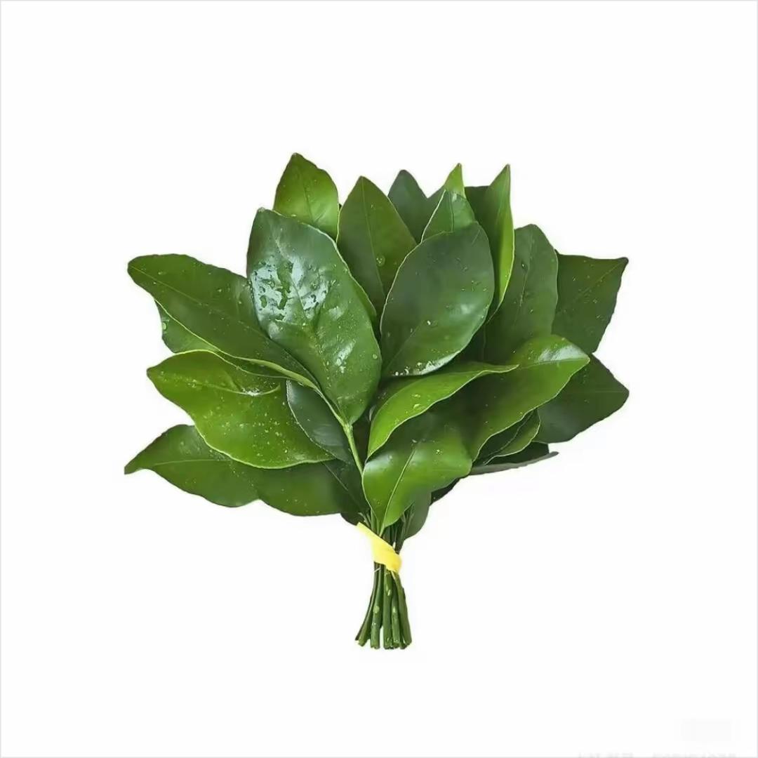 而我在等你