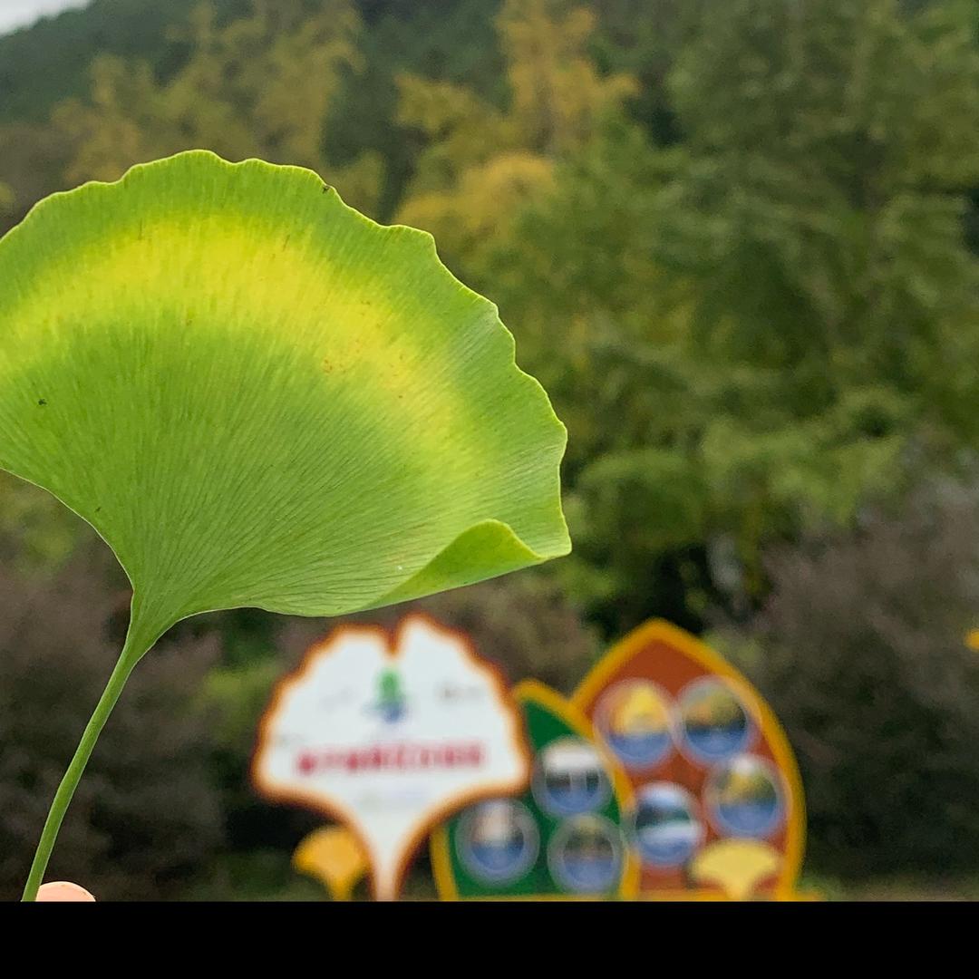 别跑，小肥猪🐷