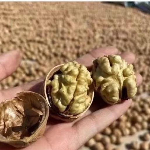 茆小贾 新疆185纸皮核桃