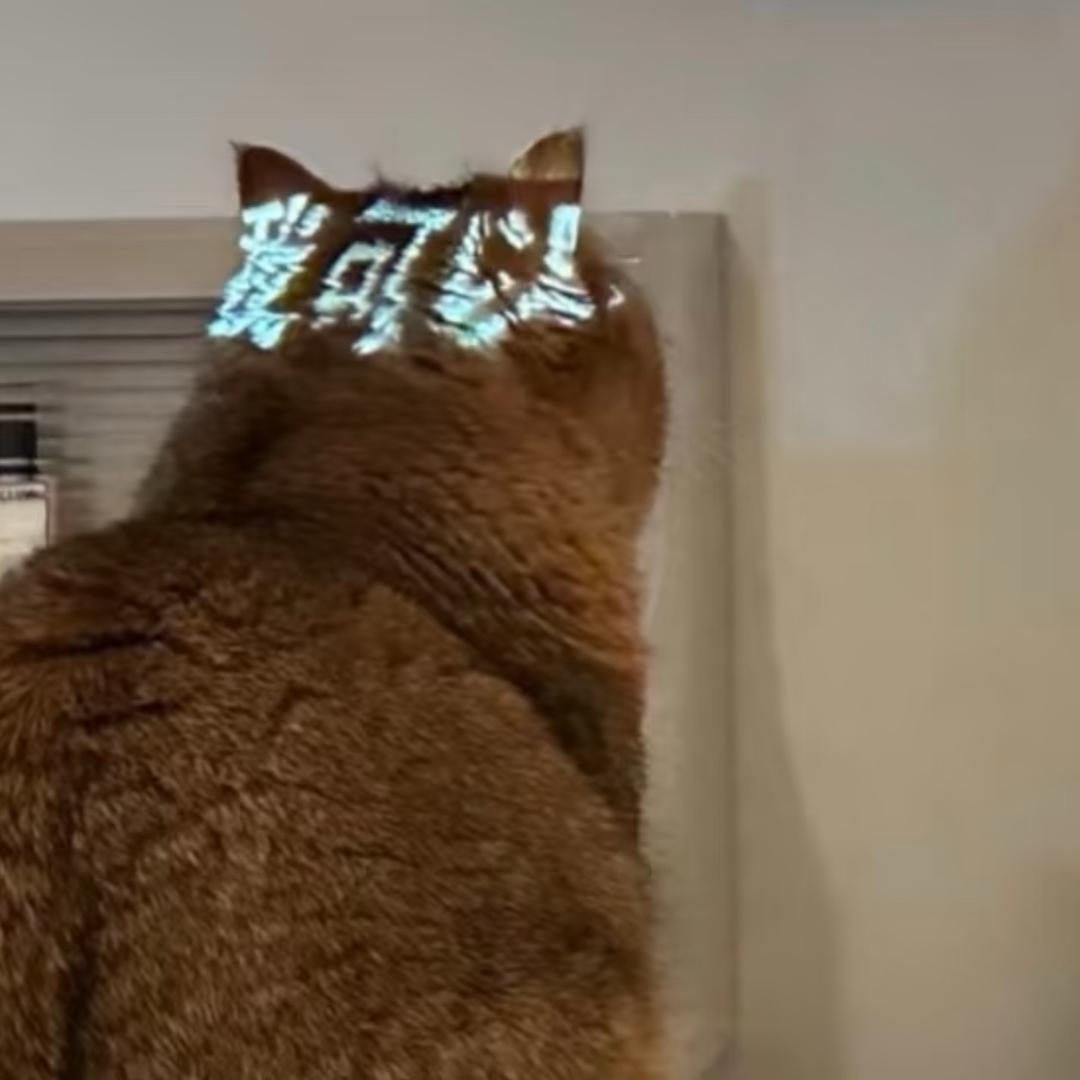 七点起