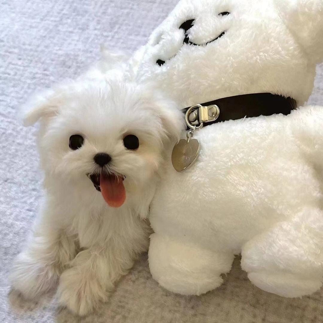 时光♔