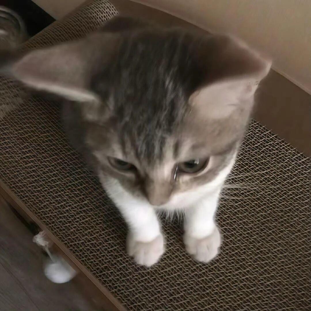 三笠