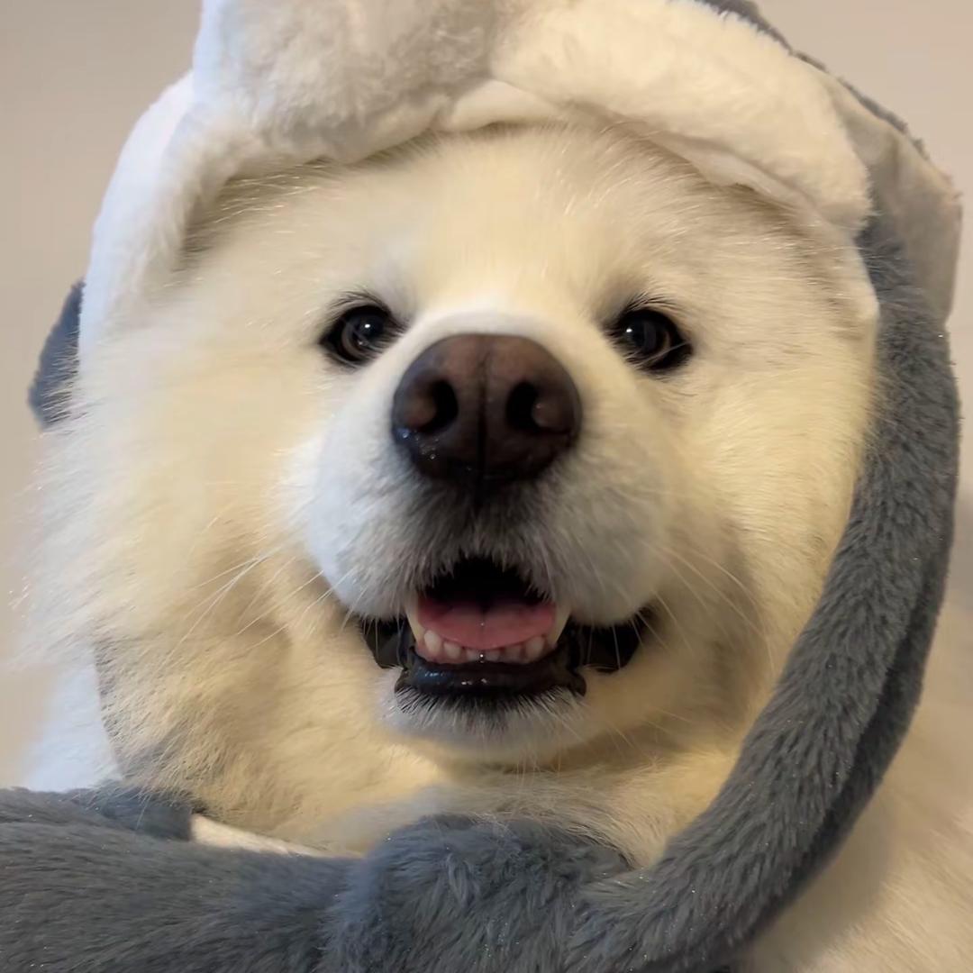 翰翰.